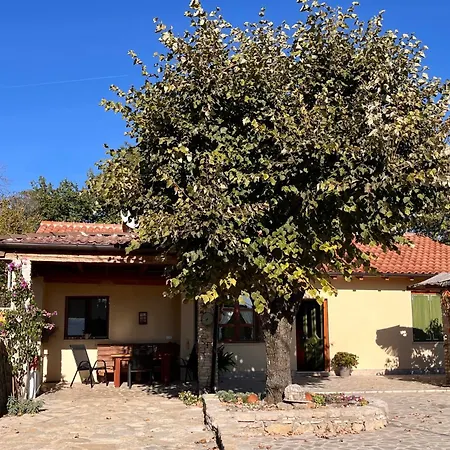“house Botic” Villa