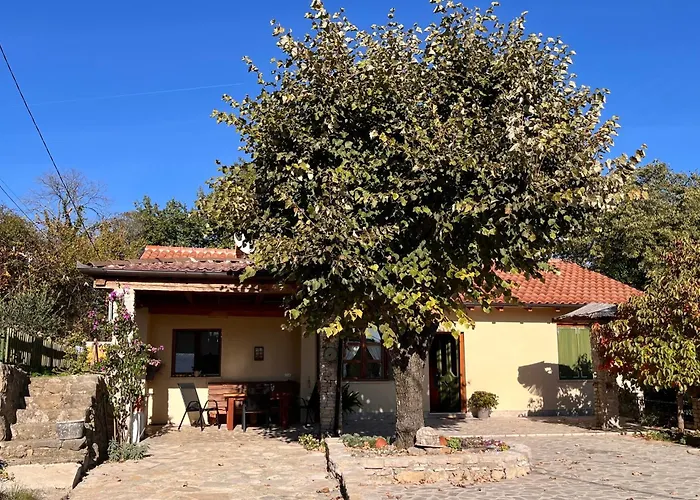 “house Botic” Willa